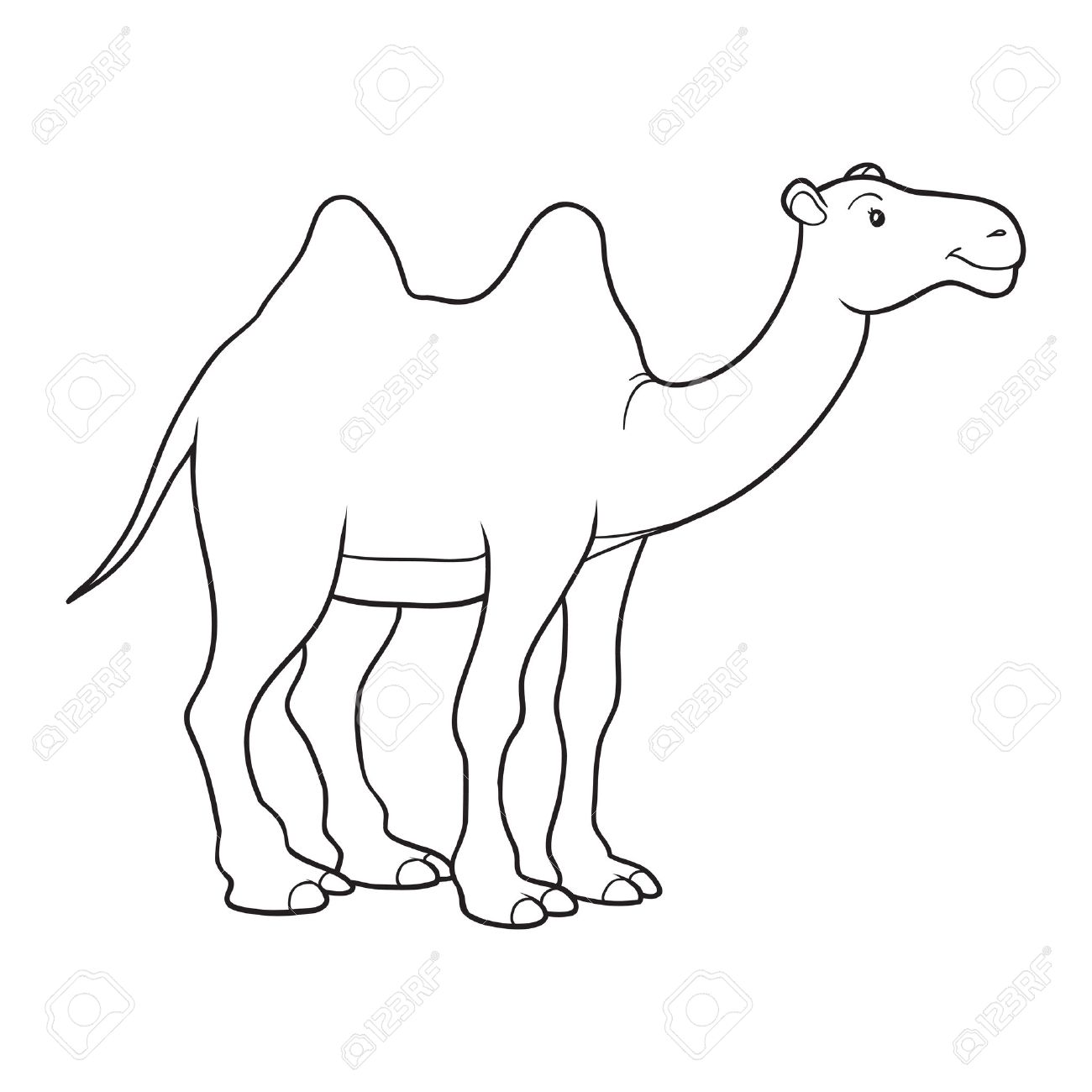 1300x1300 Coloring Book (Camel) Royalty Free Cliparts, Vectors, And Stock