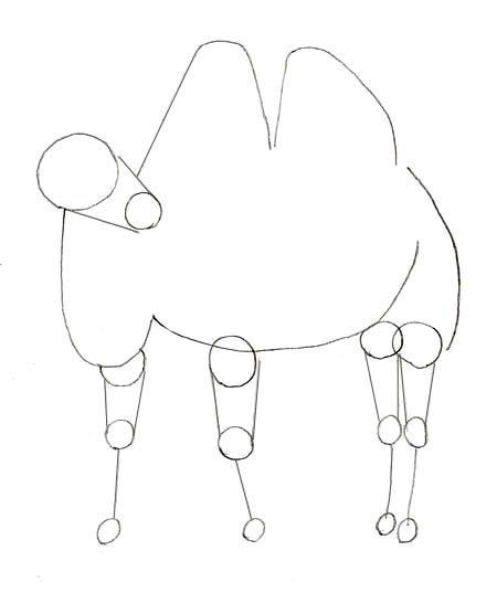 450x537 How To Draw A Camel