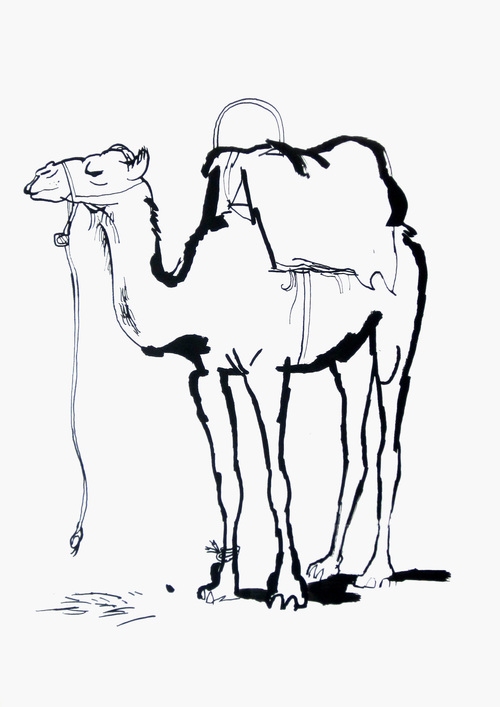 500x707 Standing Camel Camels, Sketches And Drawings