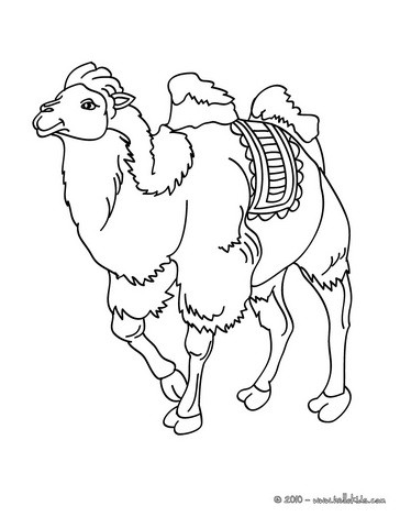 364x470 Camel Coloring Pages, Drawing For Kids, Reading Amp Learning, Free