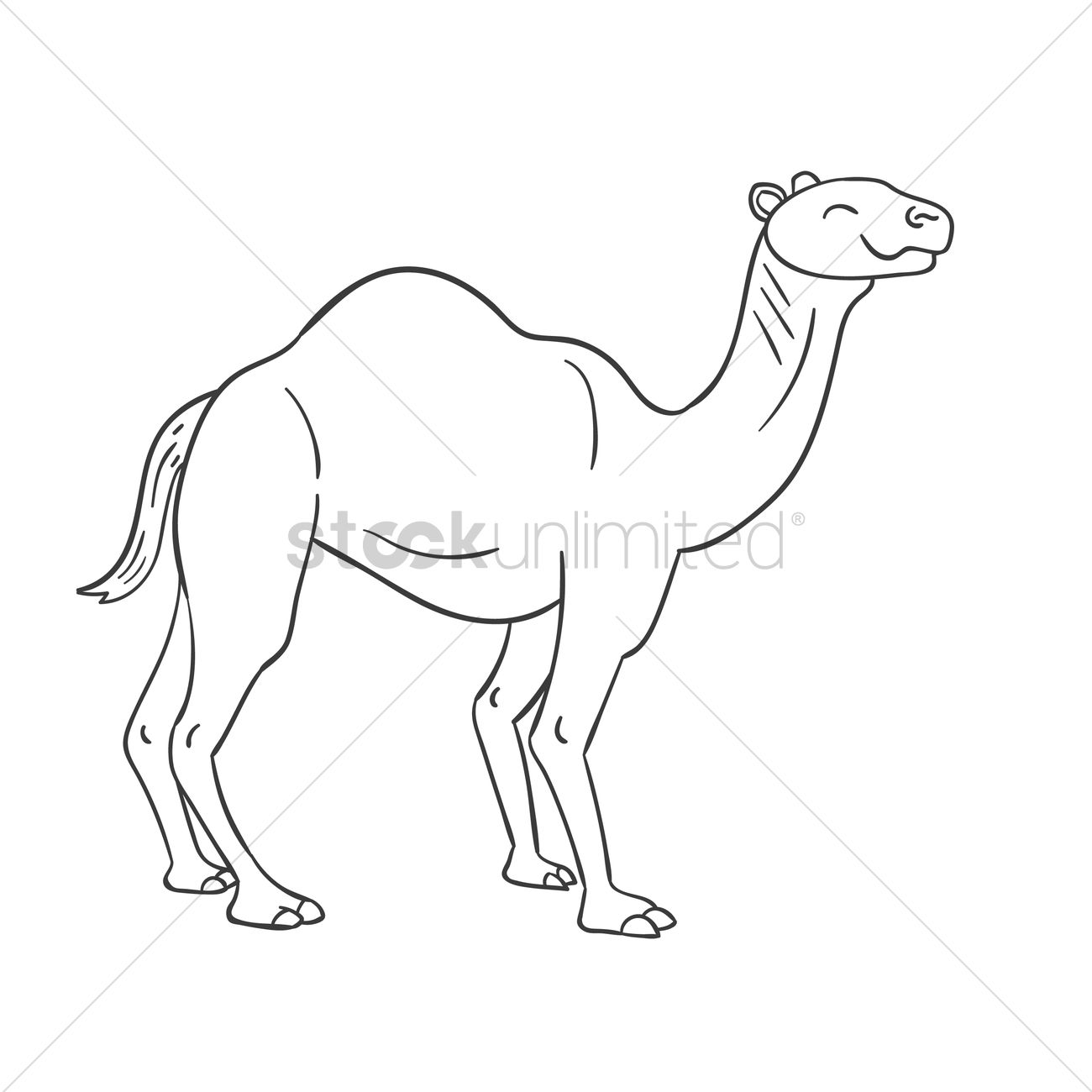 1300x1300 Camel Vector Image