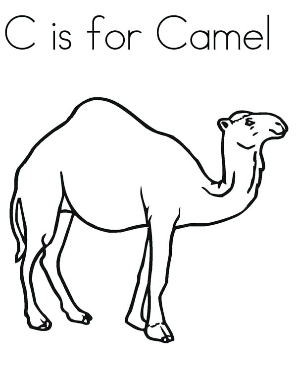 600x776 Camels Coloring Pages Dumbo And The Camel Camel Color By Number