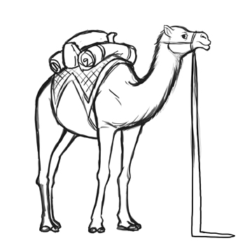 360x360 Daily Doodles Camel Sketch Normgrock