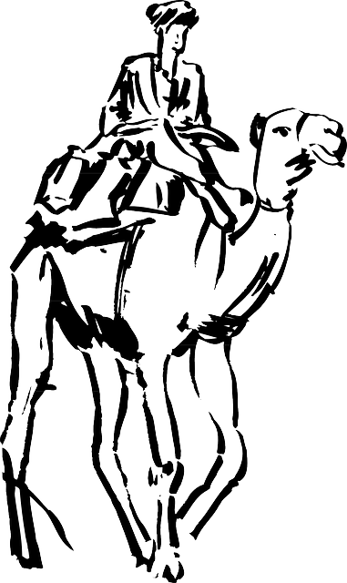 381x640 Sand, Drawing, Man, Ride, Transportation, Camel, Riding