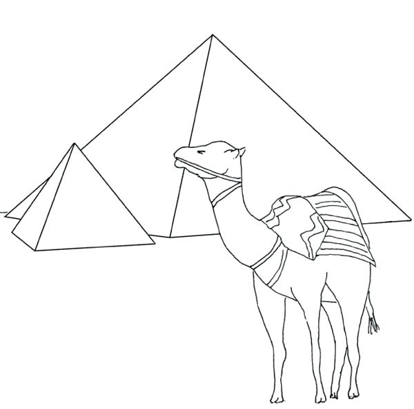 600x594 Best Of Camel Coloring Page Images Pyramid And Camel Coloring Page