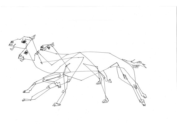 570x404 Camel Race Middle East Arabian Culture Line Drawing