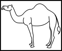 200x164 How To Draw Camels Drawing Tutorials Amp Drawing Amp How To Draw