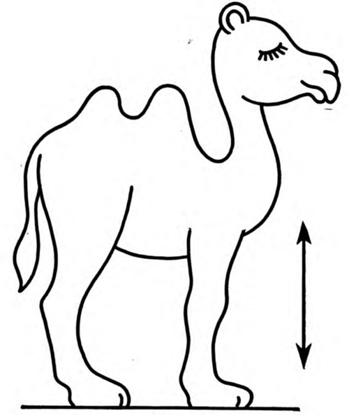 500x593 How To Whittle A Desert Ship