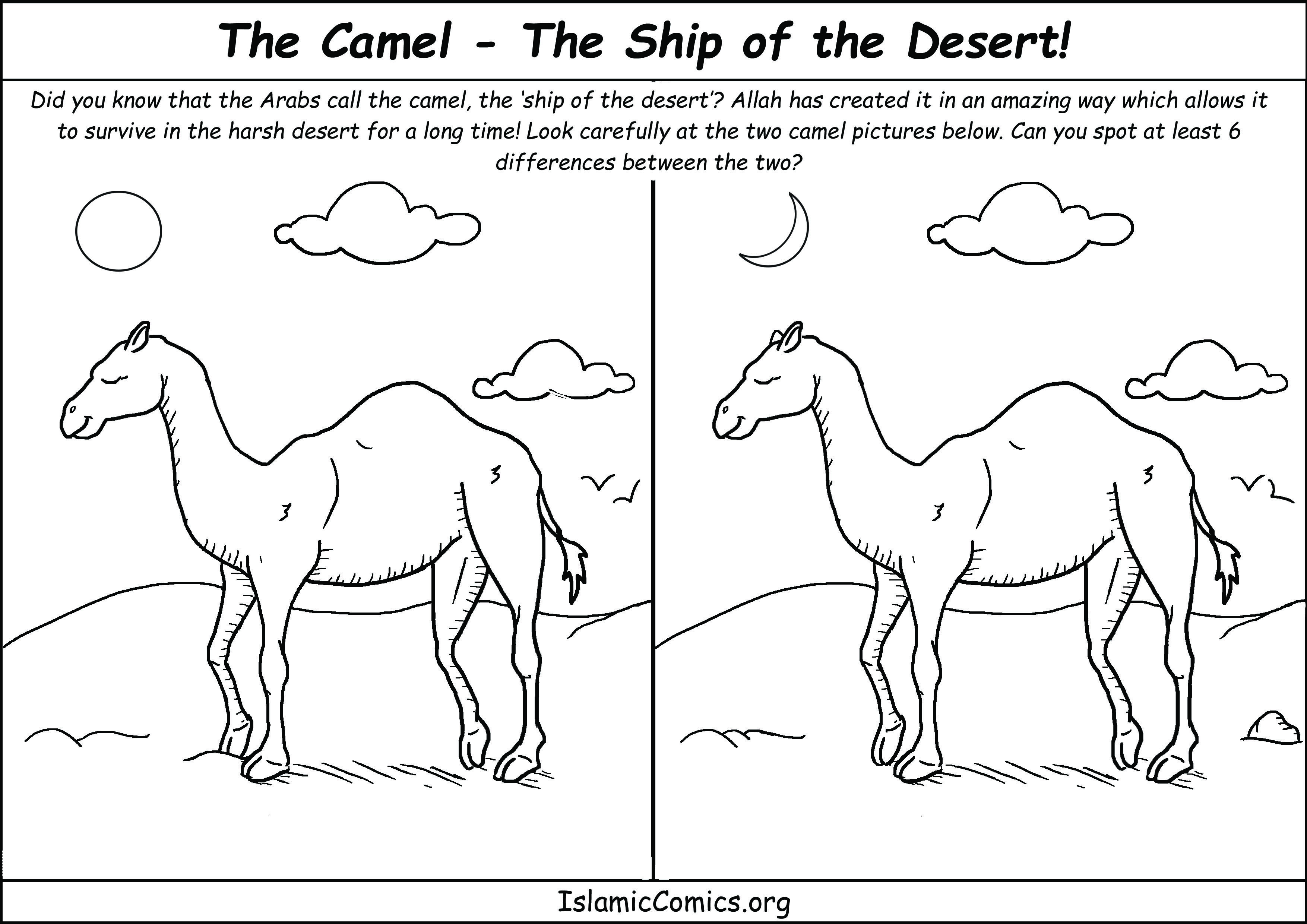 3508x2480 The Camel The Ship Of The Desert Islamic Comics