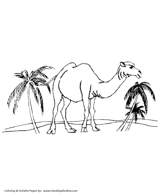 670x820 Wild Animal Coloring Pages Desert Camel Coloring Page And Kids