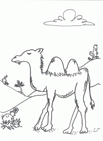 337x463 Camel Coloring Pages For Free