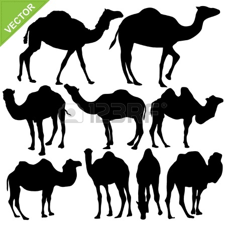450x450 Camel Art Drawing Royalty Free Cliparts, Vectors, And Stock