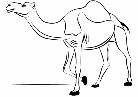 480x340 Dromedary Camel Coloring Page Free Printable Coloring Pages
