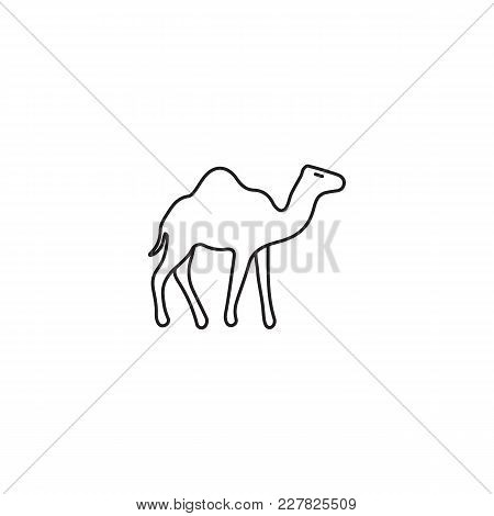 450x470 Egyptian Camel Icon Line Style. Vector Amp Photo Bigstock