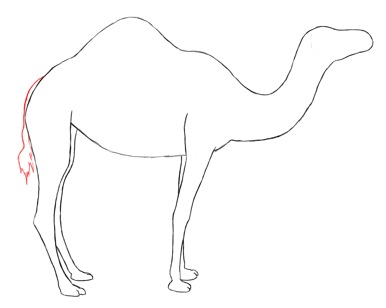 1280x1024 How To Draw A Camel
