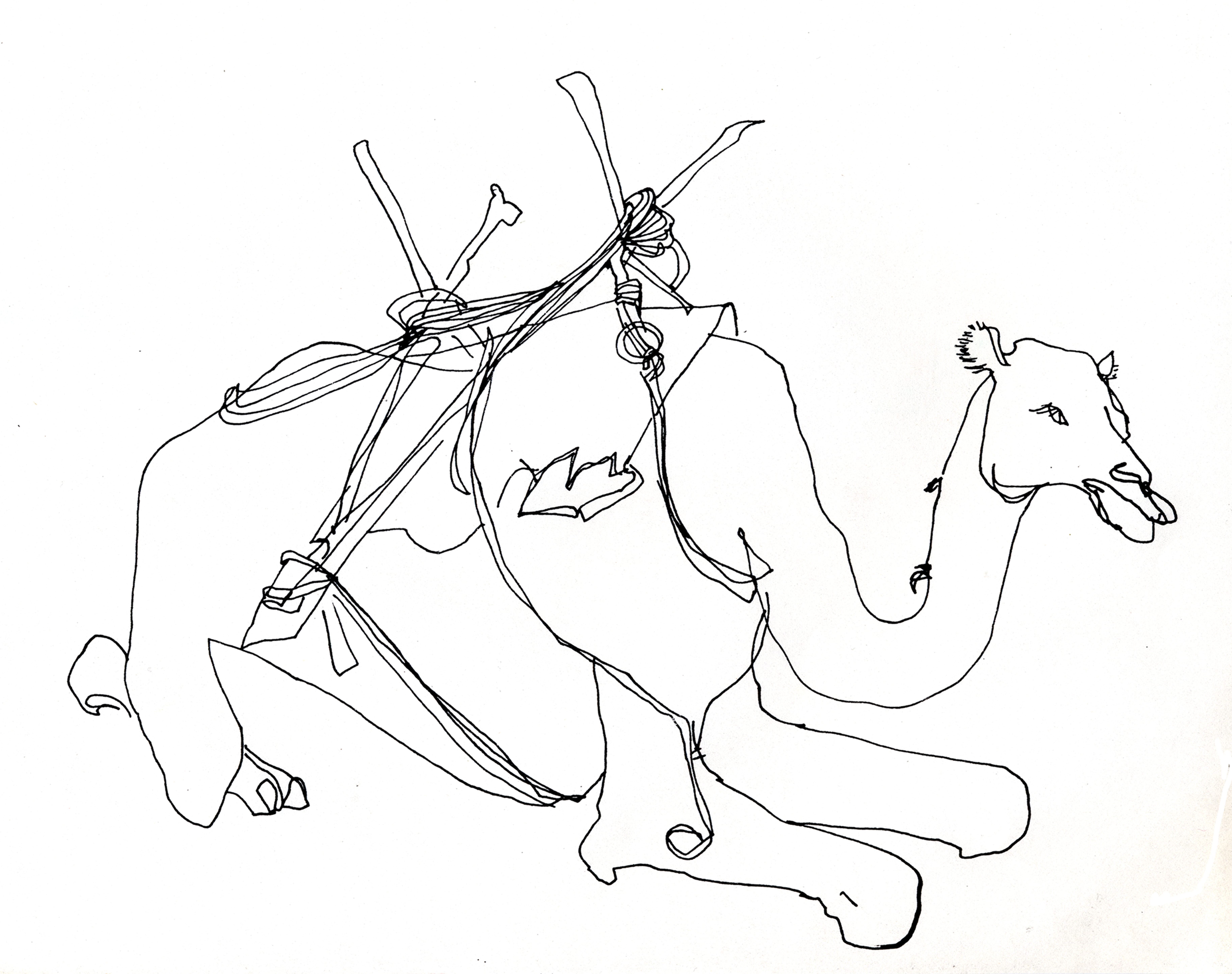 7300x5770 Joanie Mitchell