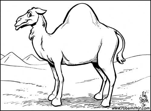 500x368 August 7th, 2013 A Hump Day Camel Cartoon By Me. Rob's Blog