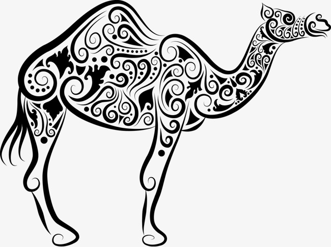 650x485 Vector Camel, Camel, Vector Free Download, Pattern Png And Vector