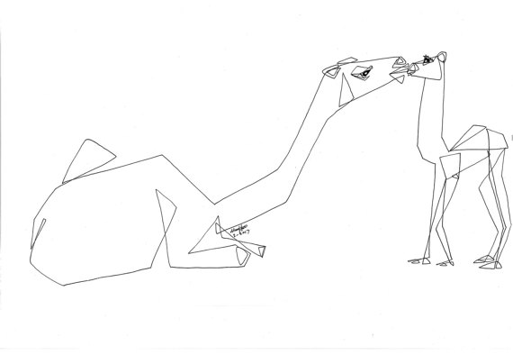 570x404 Baby Camel Desert Mother Camel And Baby Middle East Line