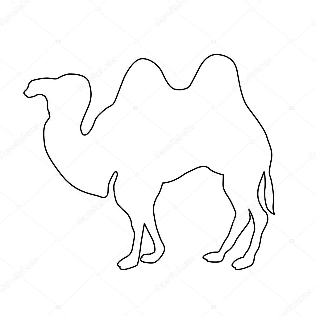 1024x1024 Realistic Camel Black Line Drawing Stock Vector Struckbarw