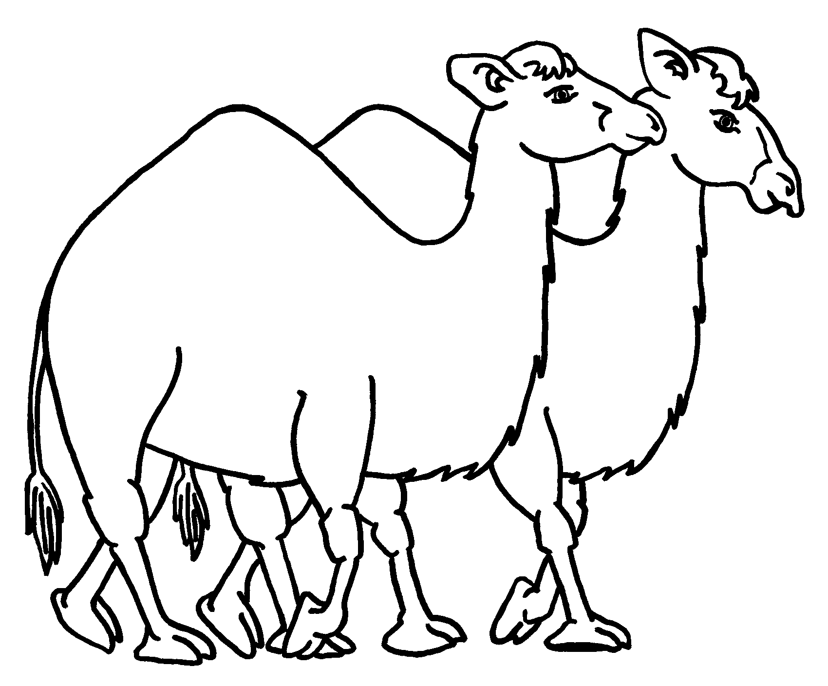 1700x1408 Camel Coloring Page Printable To Good Photo Printable Coloring