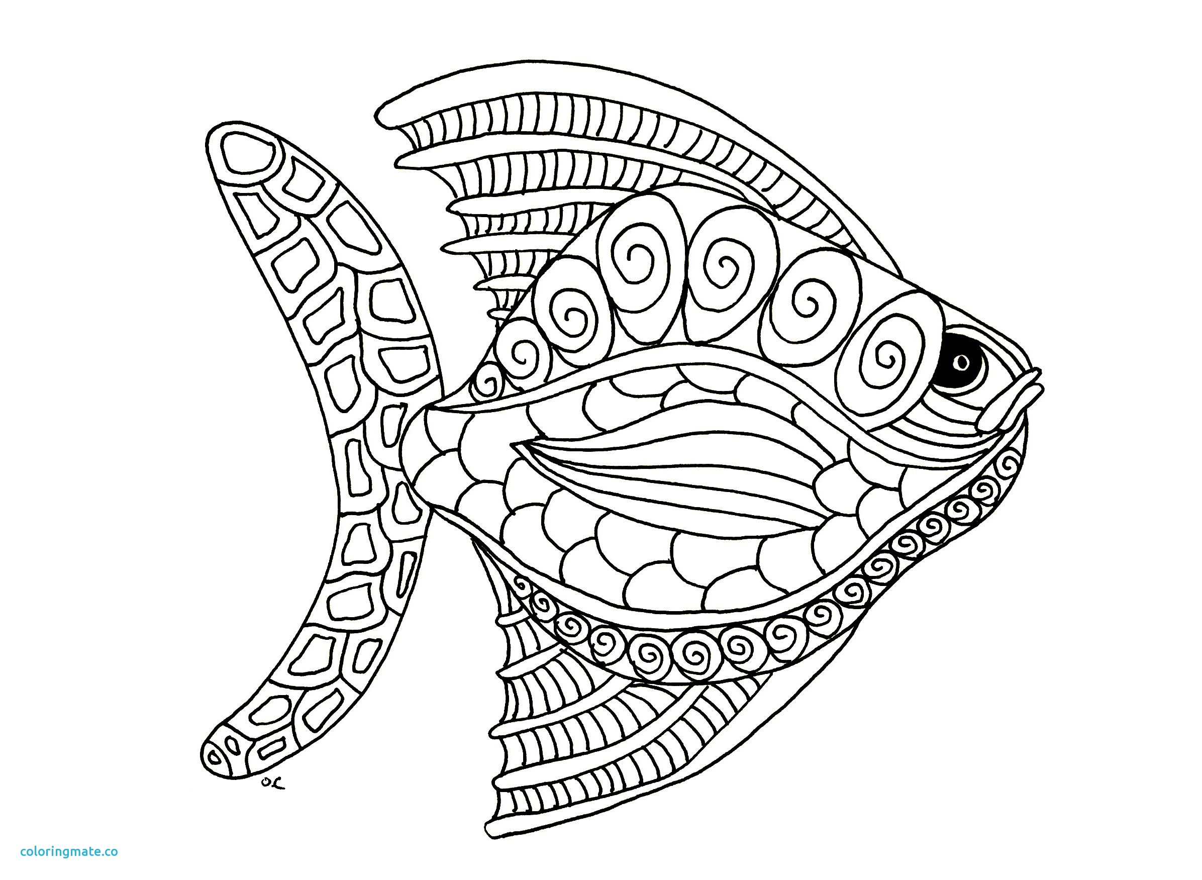 2392x1751 Coloriage Superbes Mandalas Cameleon Unique Winter Windlings