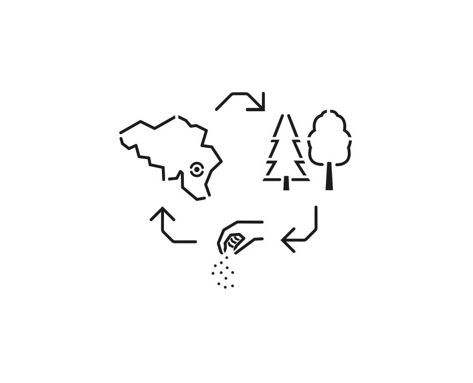 952x771 Eco Building Cameleon