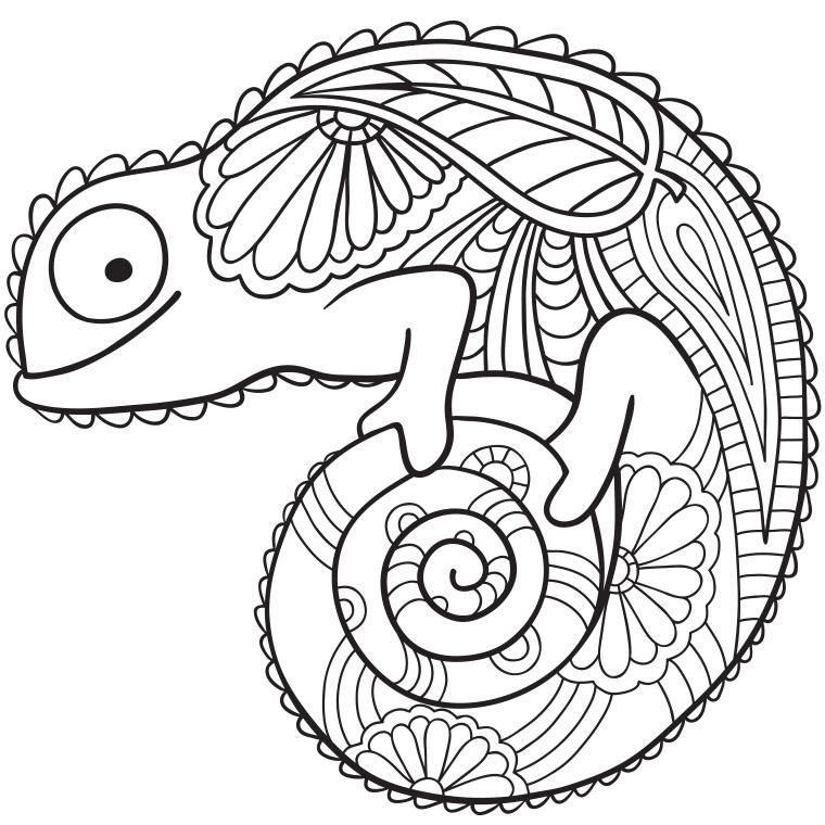 760x760 Coloriage Mandala Cameleon.jpg
