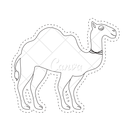550x550 Camel Animal