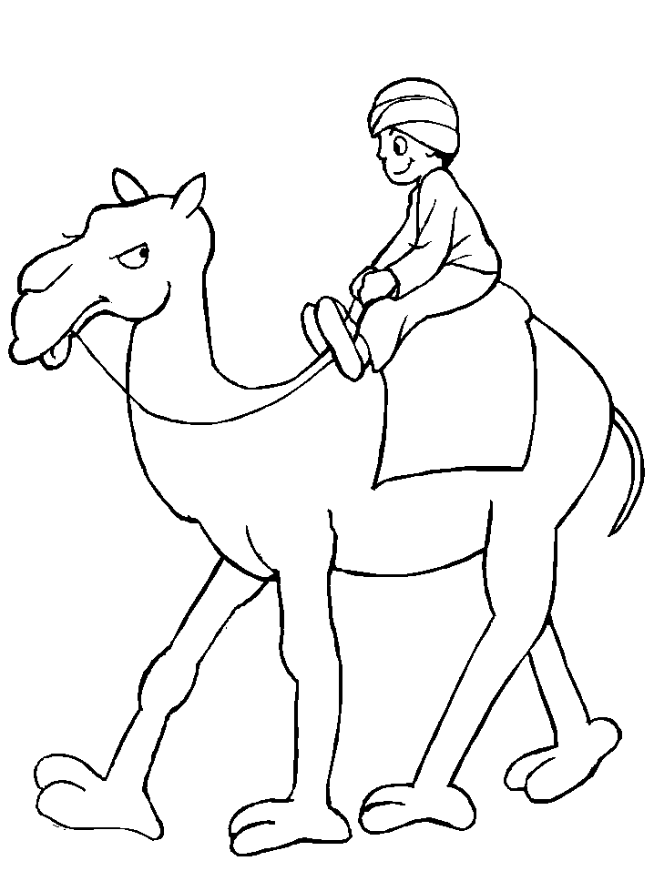 718x957 Camel Coloring Pages For Students