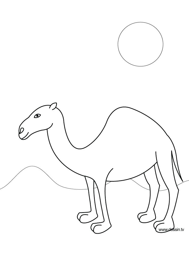 744x1052 Classy Camel Coloring Page Online Pages Free