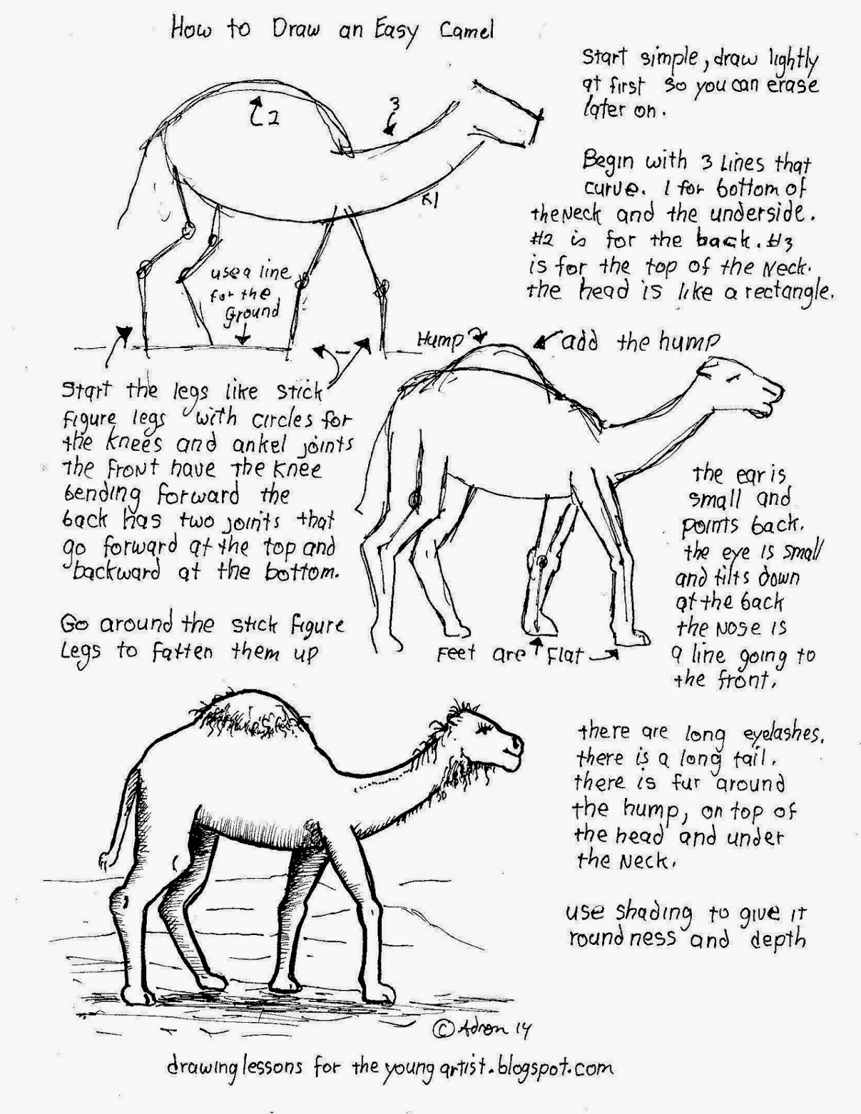 1237x1600 How To Draw A Camel Art