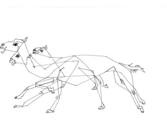 340x270 Resting Camels Arabic Desert Line Drawing Middle East