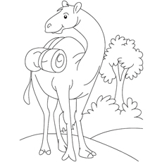 230x230 Top 25free Printable Camel Coloring Pages Online