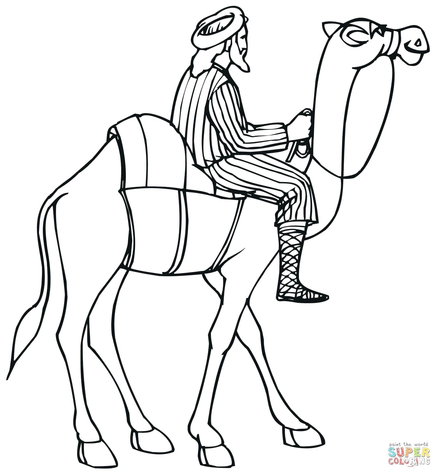 1500x1624 Coloring Camel Coloring Pages