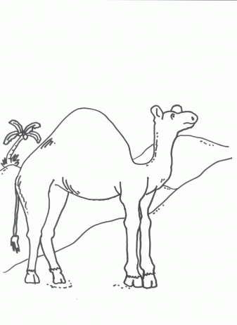337x463 Camel Coloring Pages For Free