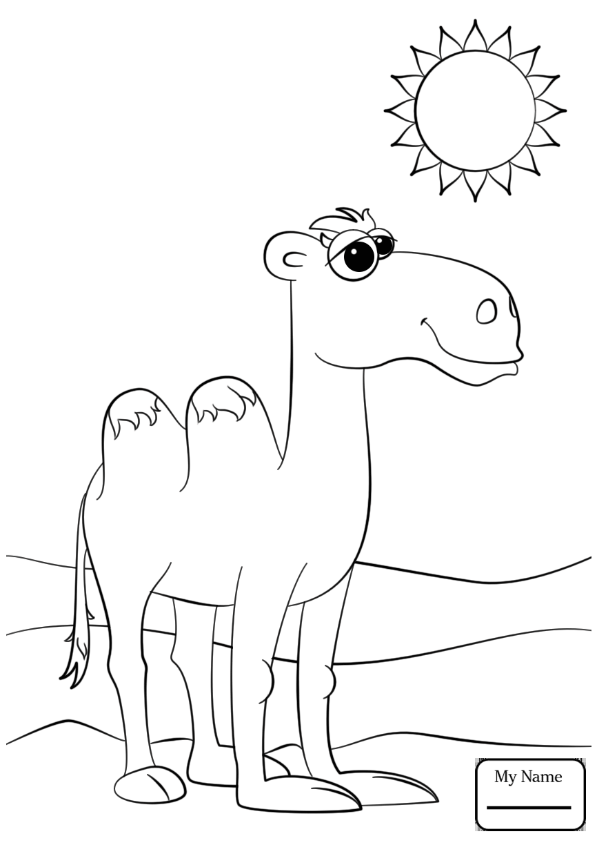 866x1224 Camel 18 Camels Mammals Camels Coloring Pages