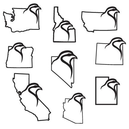 432x432 Retro Camo Snapback