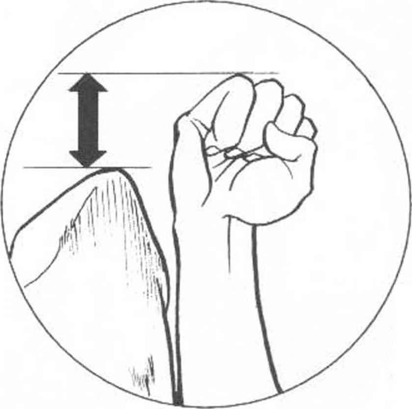 840x835 Human Bodies In Motion Punch In The Face