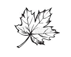236x188 Maple Leaf Icon Tatoo Icons, Leaves And Tattoo