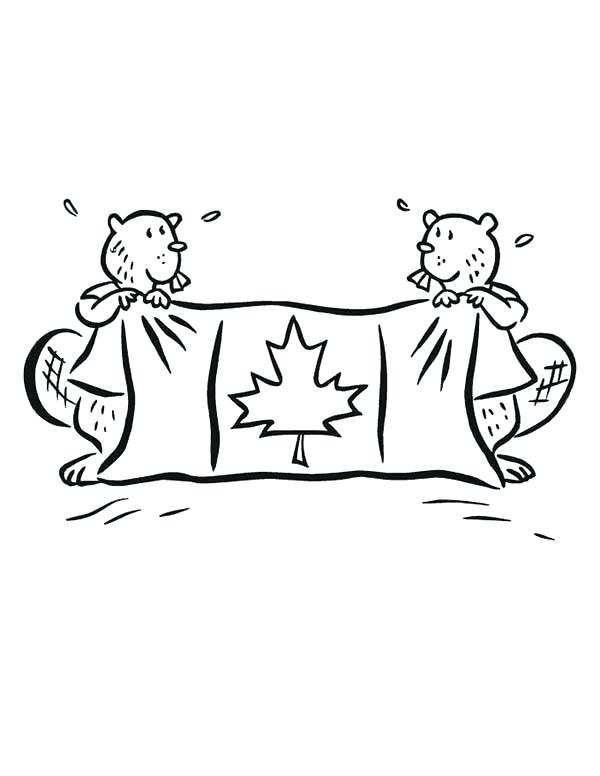 600x776 Canada Coloring Pages Synthesis.site