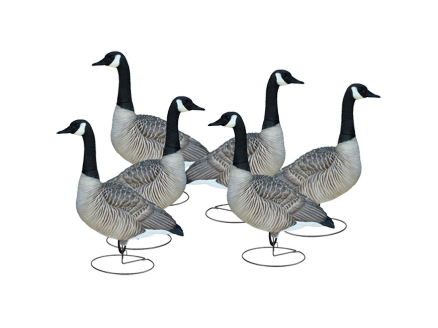 880x660 Final Approach Livecraft Alert Full Body Canada Goose