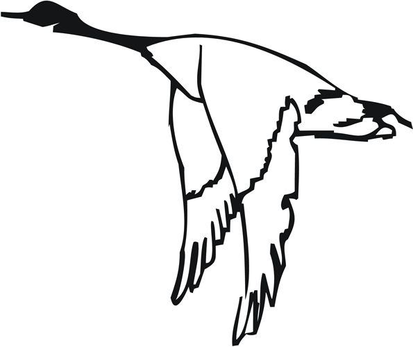 595x500 11 Best Animals Images On Goose Tattoo, Goose Drawing