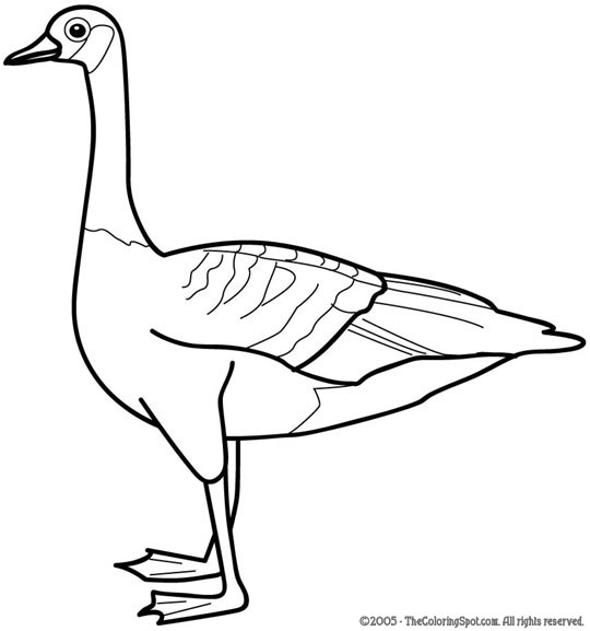 540x577 Goose Coloring Pages Goose 1 Free Printable Coloring Pages