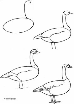 236x331 Madarin Duck By Ledenzer How To Draw Doodles Doodles