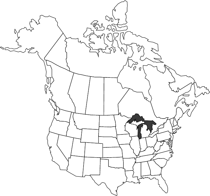 699x653 Abcteach Printable Worksheet Usa And Canada Outline Map