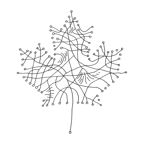 600x600 Free Canadian Maple Leaf Colouring Page With Abstract Drawing