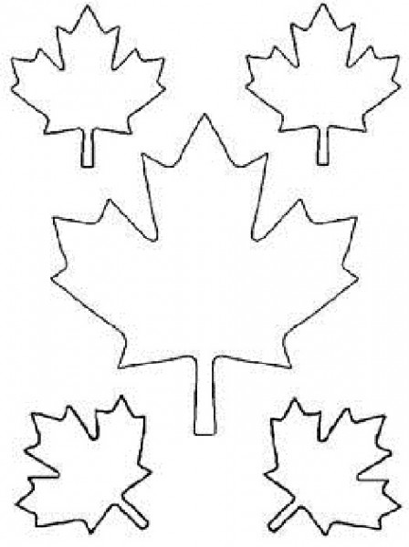 448x600 Maple Leaf Cut Out Templates Of Canada Day Coloring Pages