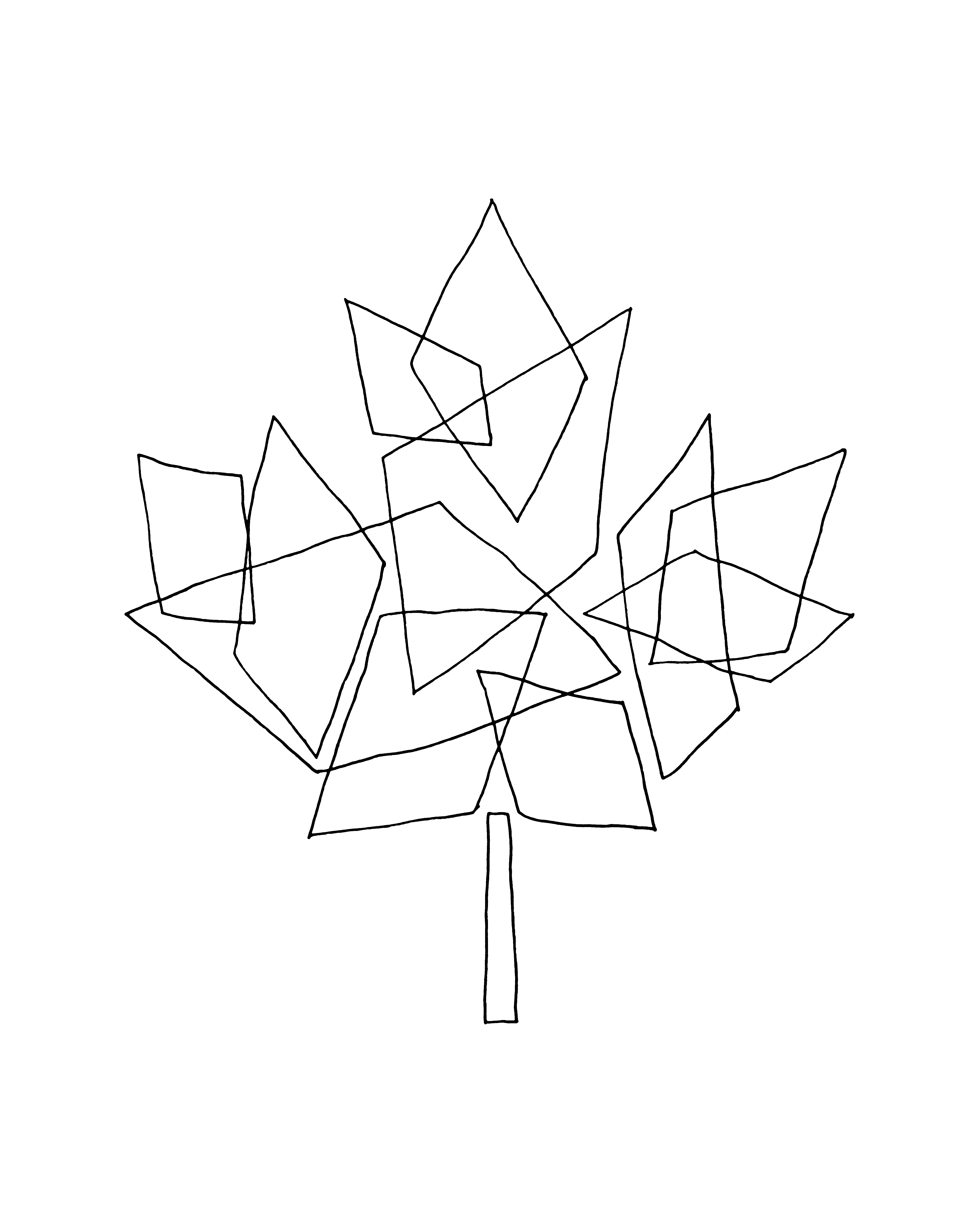 4800x6000 10,000 Pages Canadian Maple Leaf Colouring Page 5870