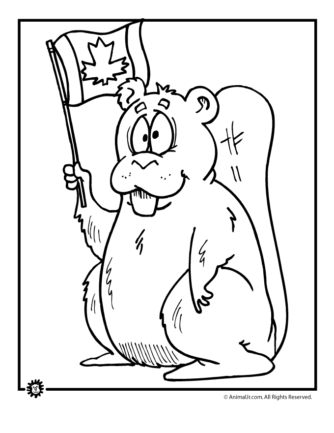 680x880 Proud Canada Beaver Coloring Page Animal Jr.